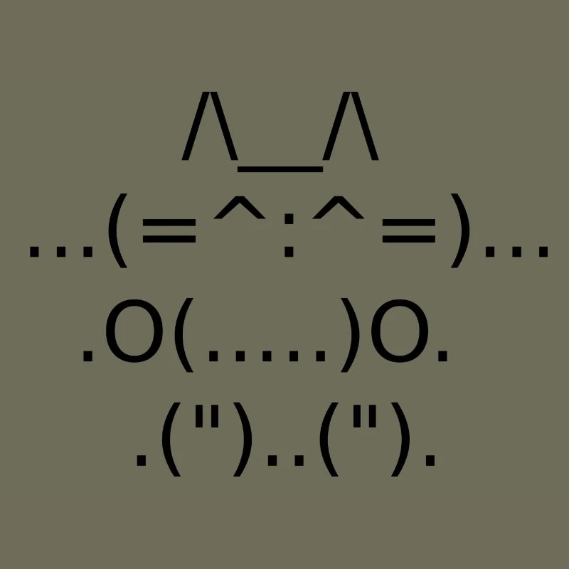 chat ponctuation geeks