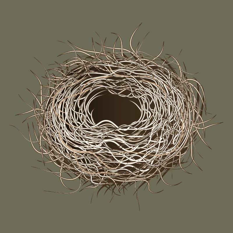 empty bird's nest or easter basket for spring