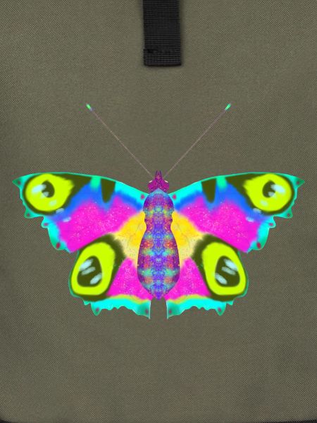 butterfly project