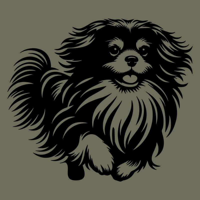 Tibet Spaniel