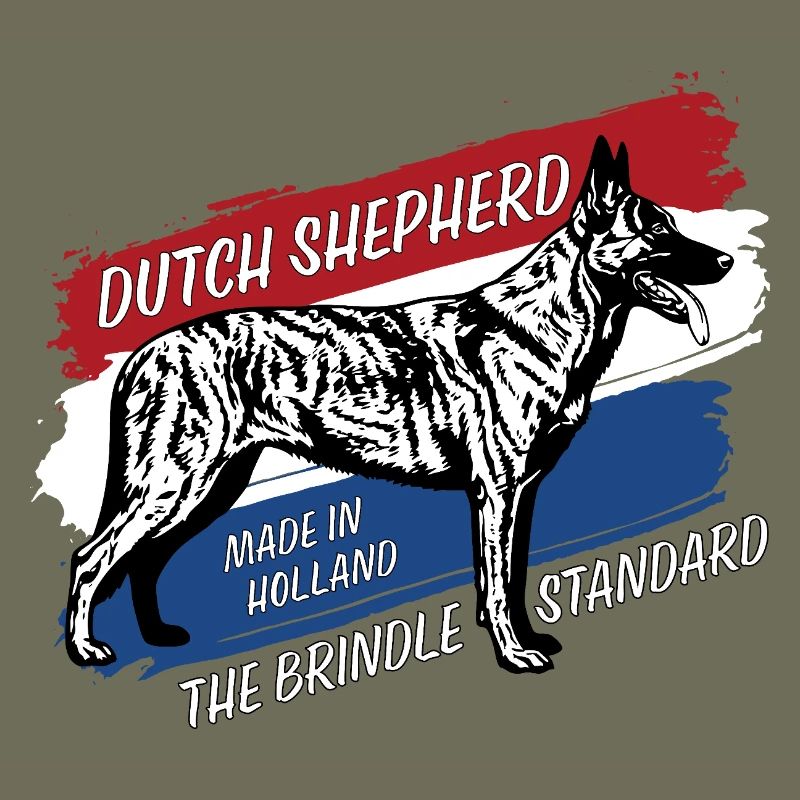 Berger hollandais - Dutchie