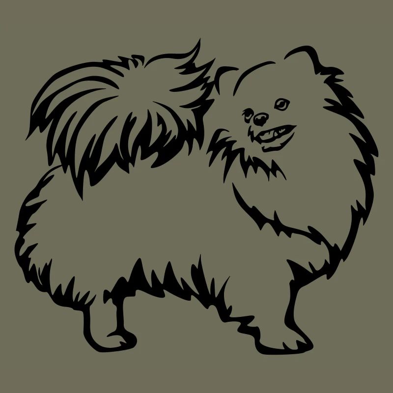 Spitz nain
