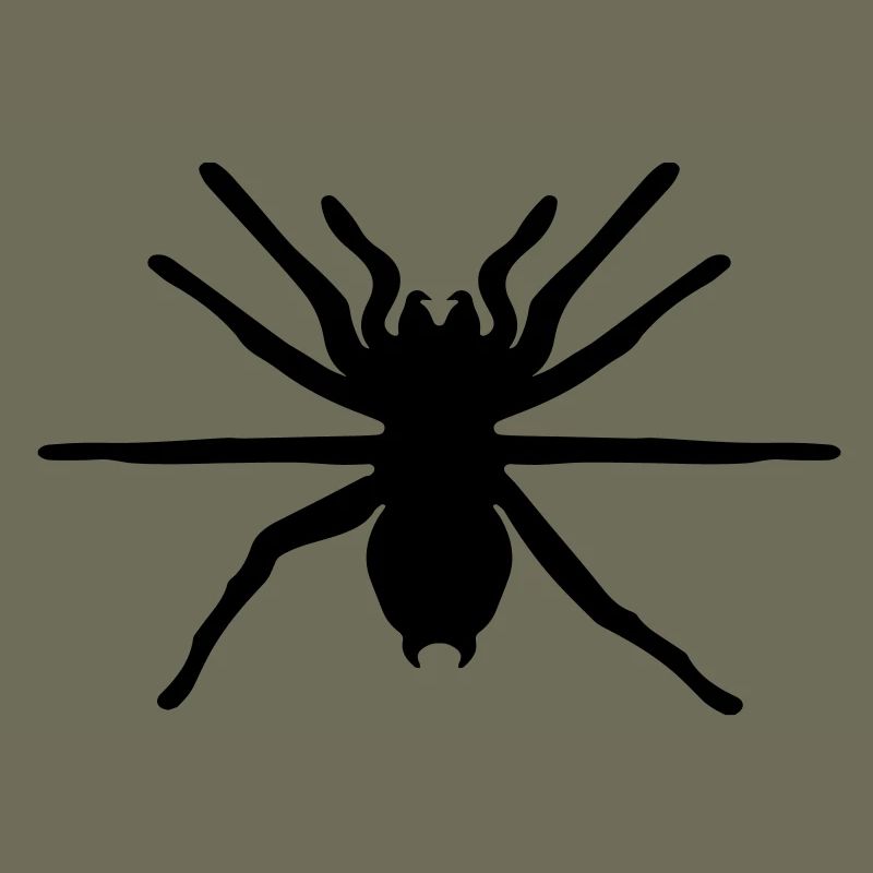 spinne