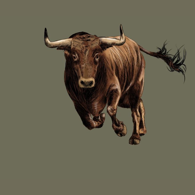 Stier