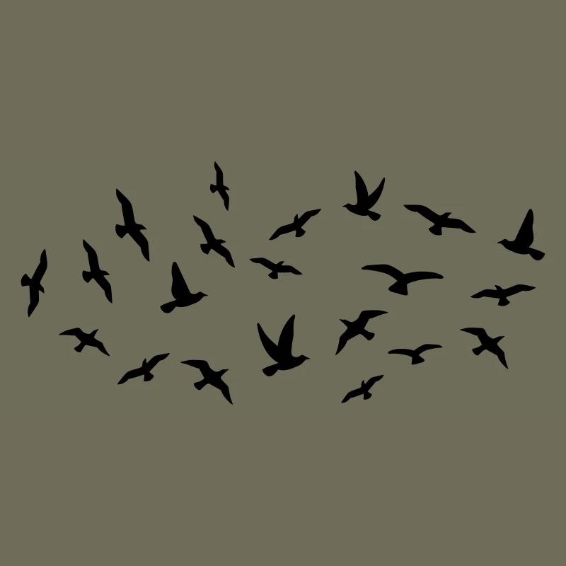 Oiseaux
