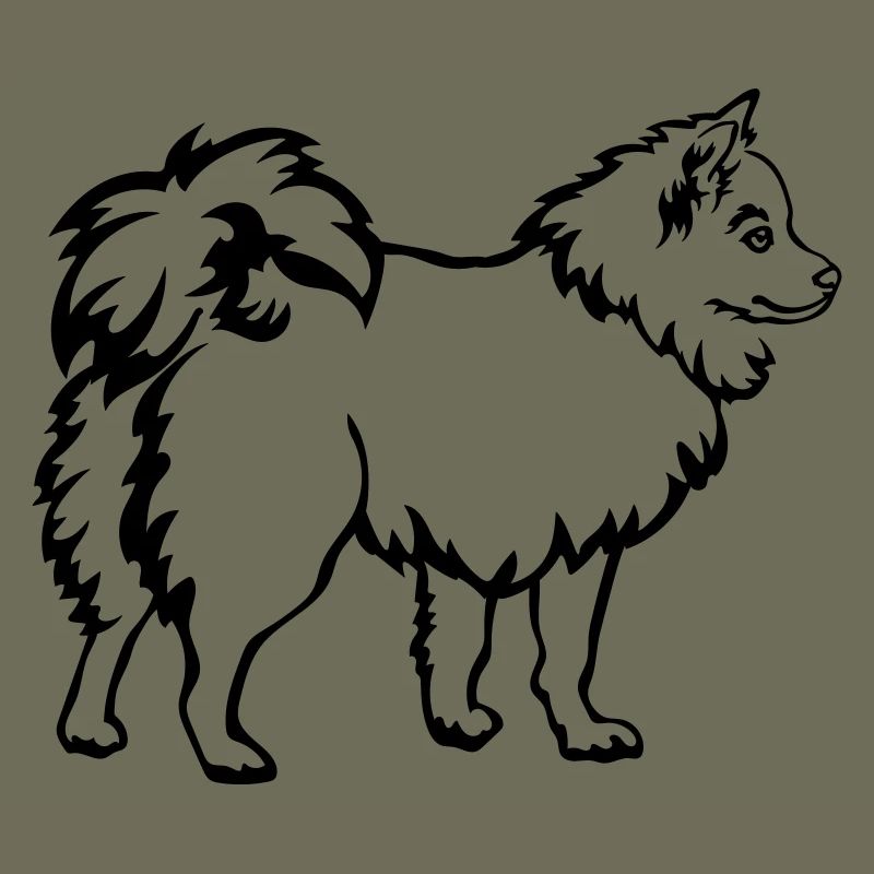 Spitz
