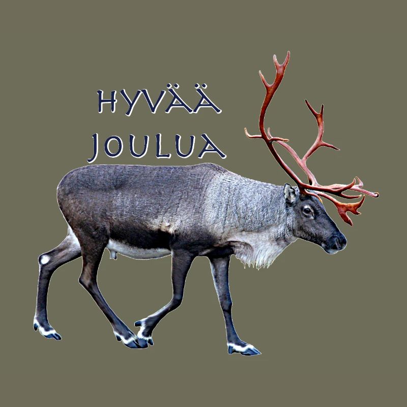 Hyvaa Joulua
