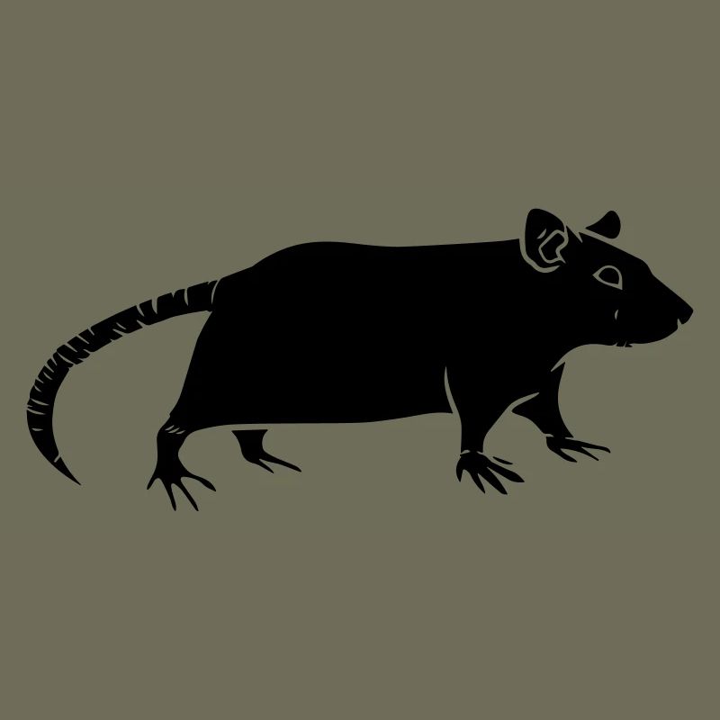 rat