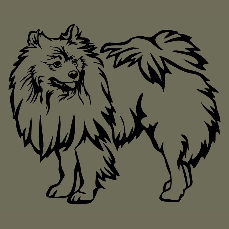 Spitz