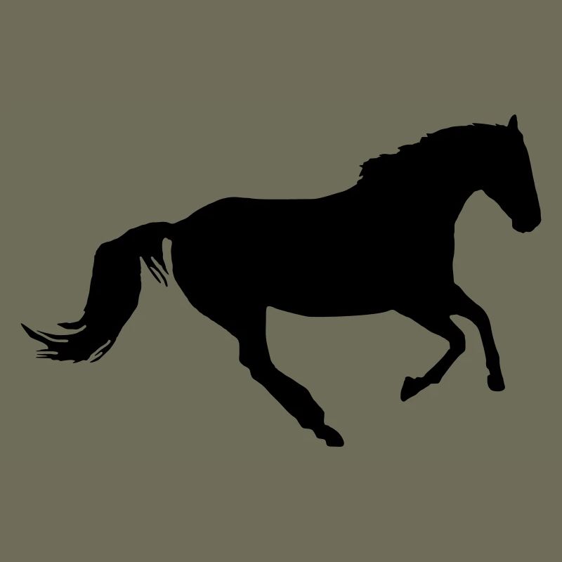 Cavallo al galoppo