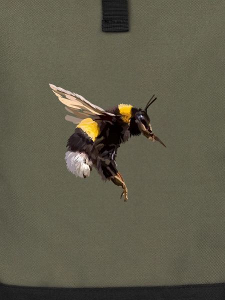 Hummel