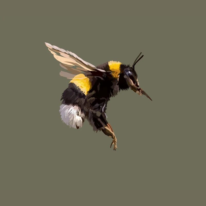 Bumblebee