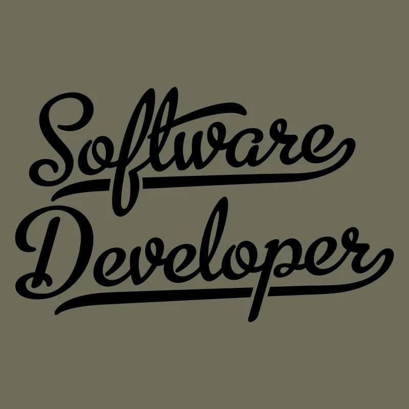 Software Developer