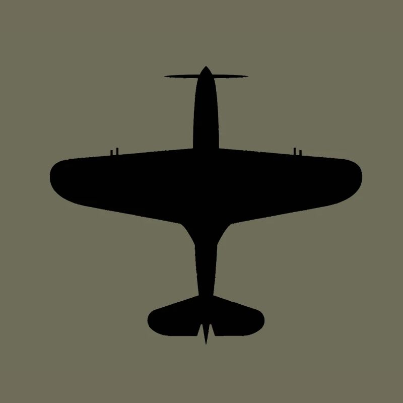 Top-Down Airplane Silhouette