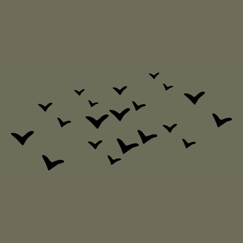 Oiseaux