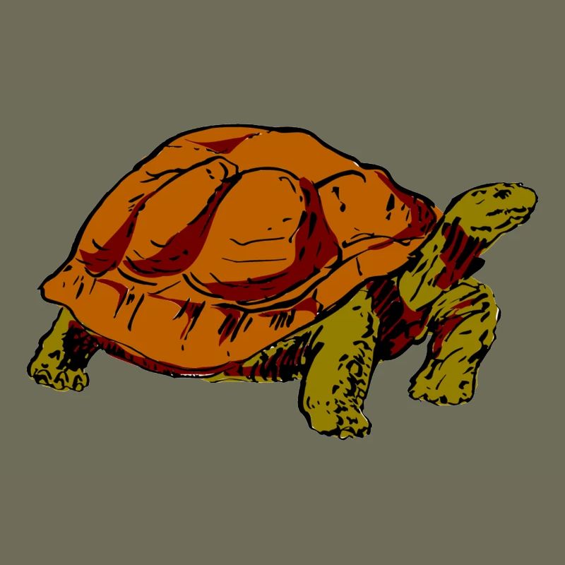 turtle