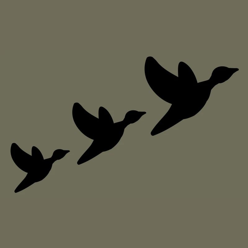 ducks