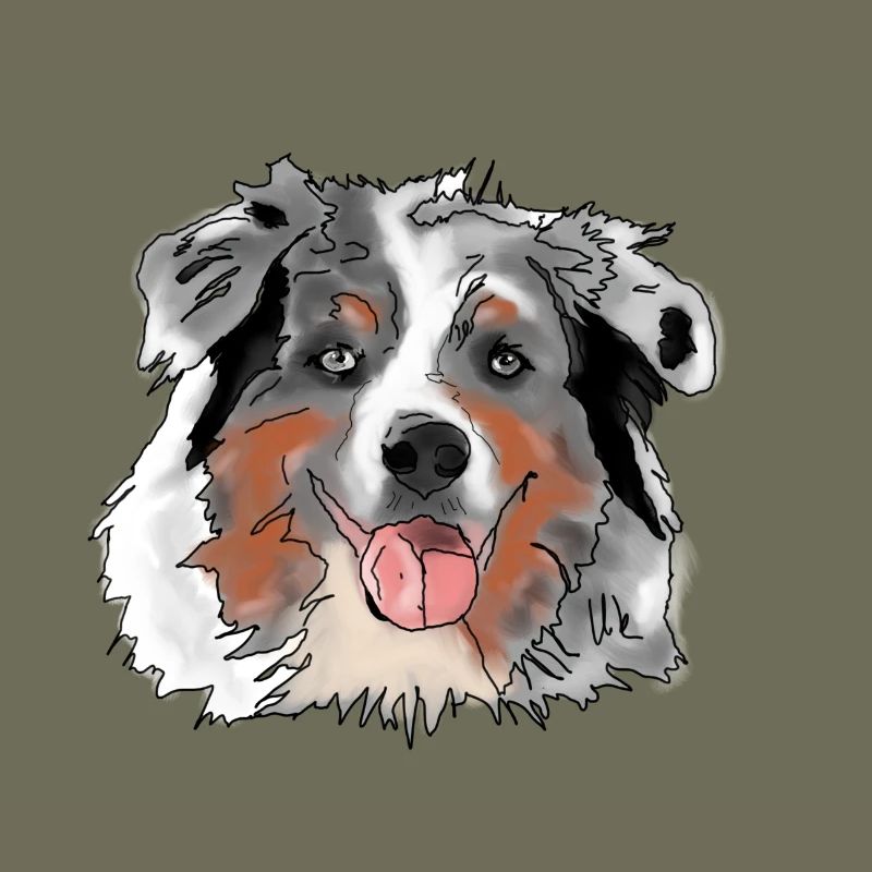Australian Shepherd