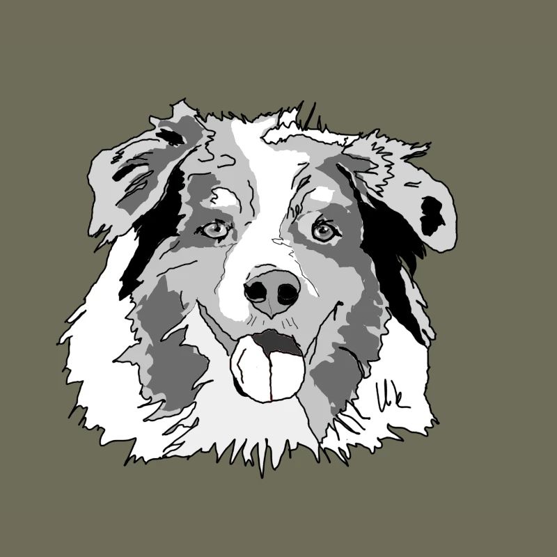 Australian Shepherd
