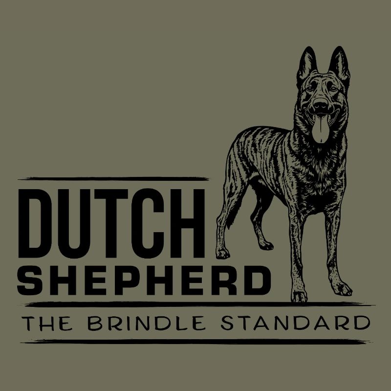 Dutch Shepherd - Dutchie
