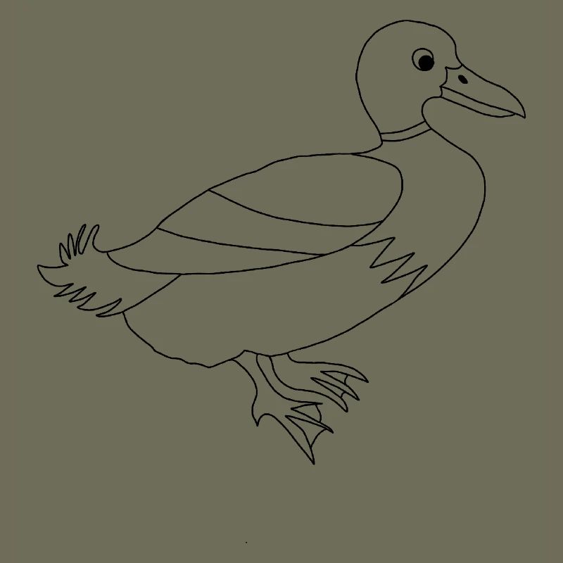 Duck / - Graphic black and white