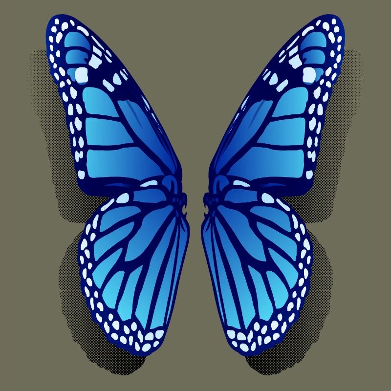 Monarc butterfly wings
