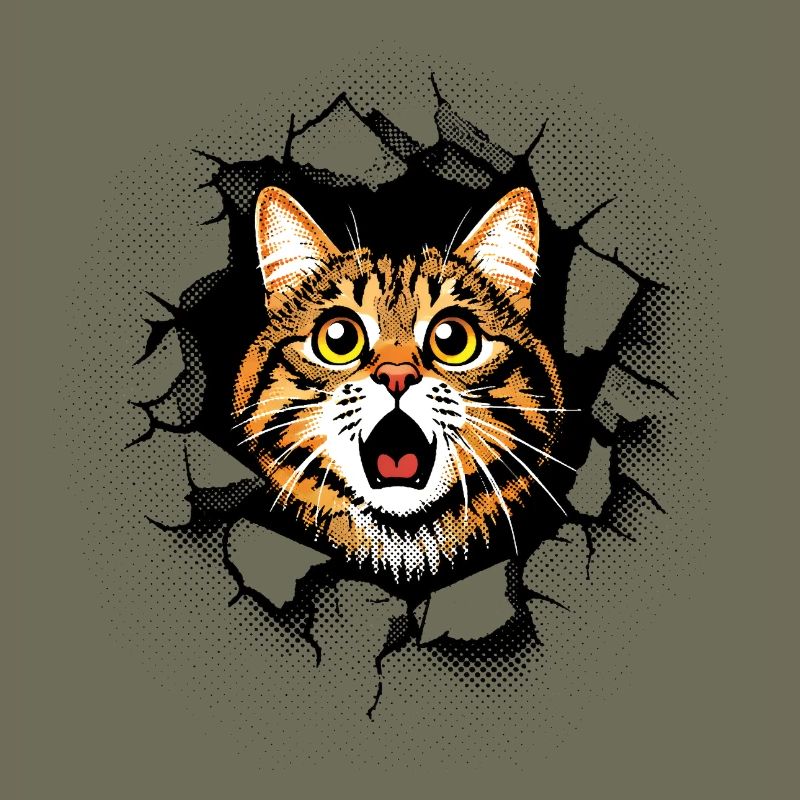Cat Head Wall Hole Cracks Breakthrough