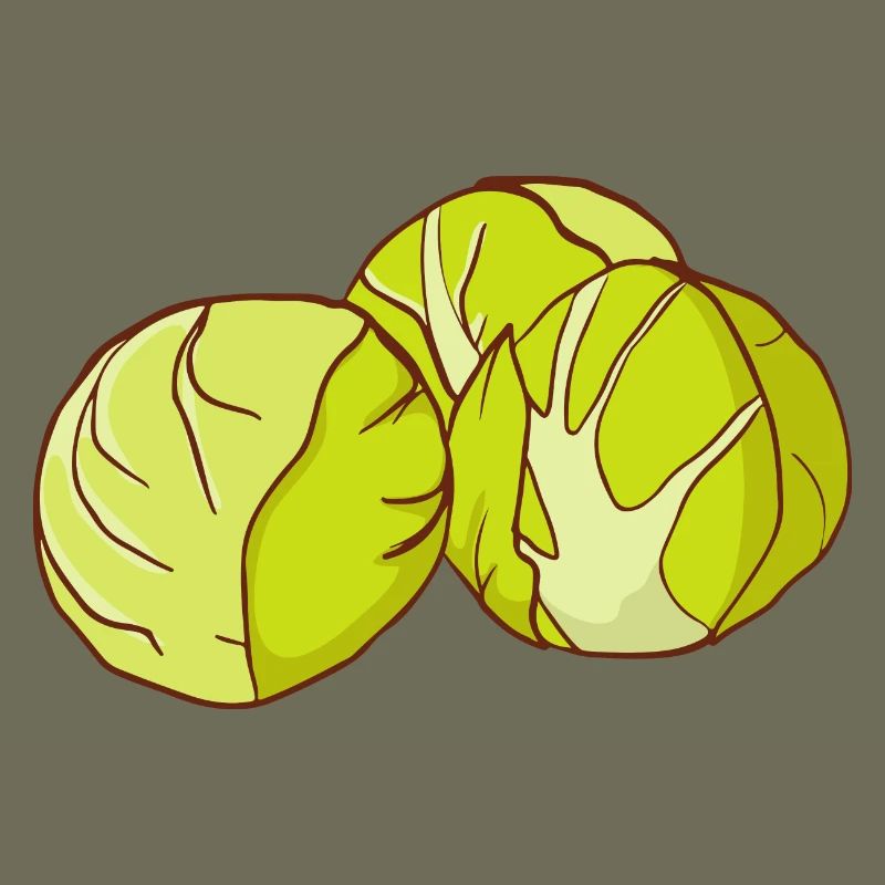 Brussels sprouts Brussels cabbage sprouts cabbage sprouts