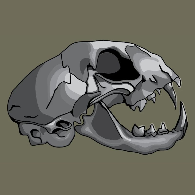 cat skull