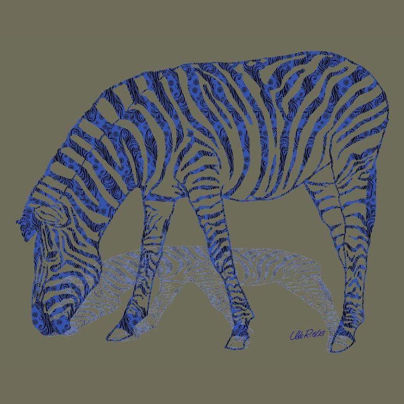 Zebra with zebra shadow