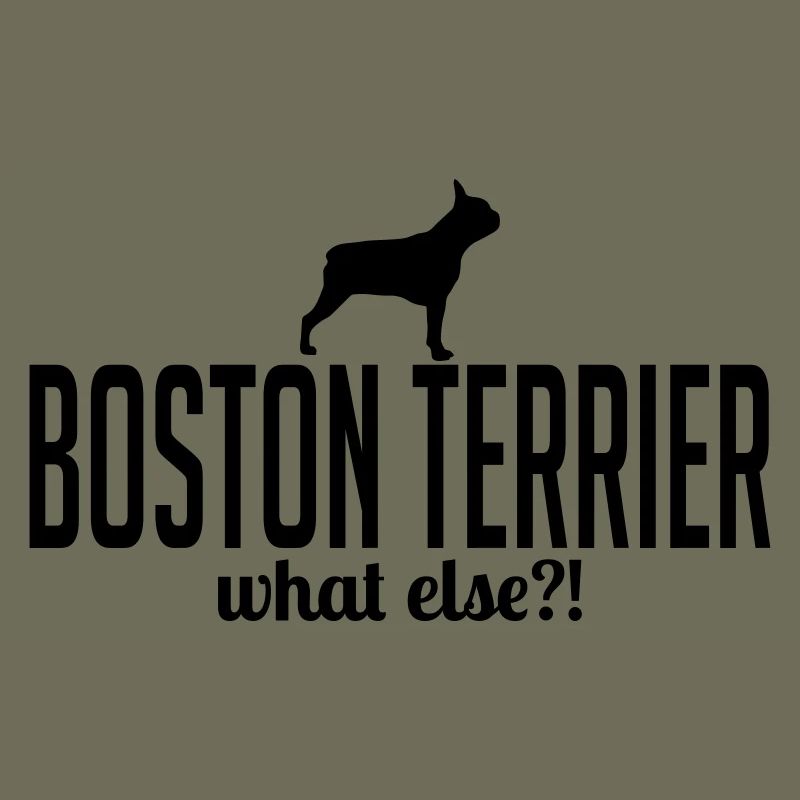 BOSTON TERRIER what else