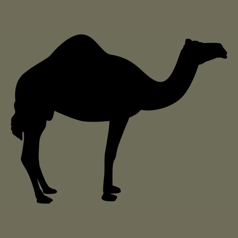 Kamel
