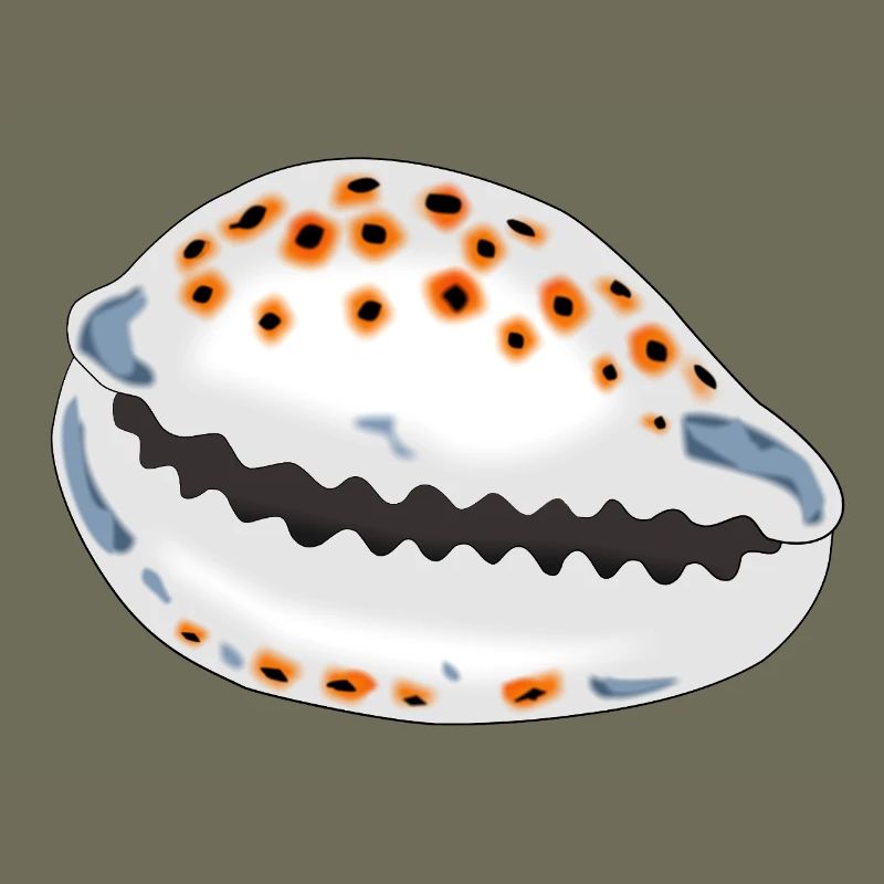Shell with dots