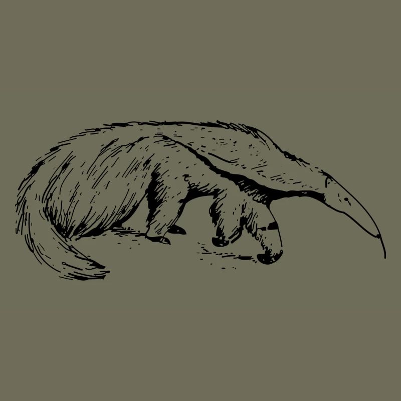 ant-eater