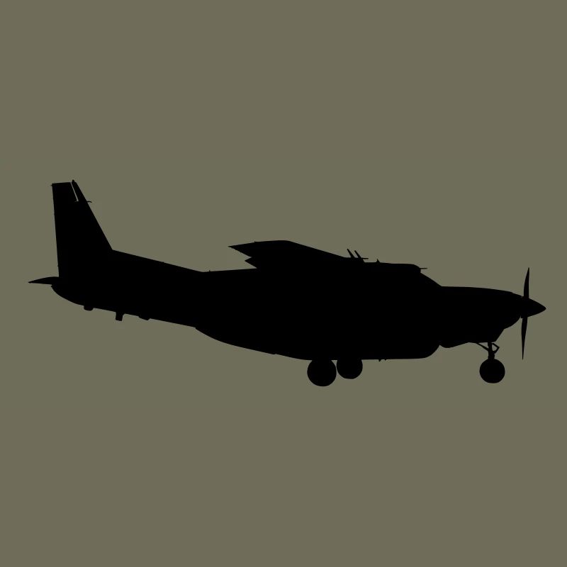 Avion