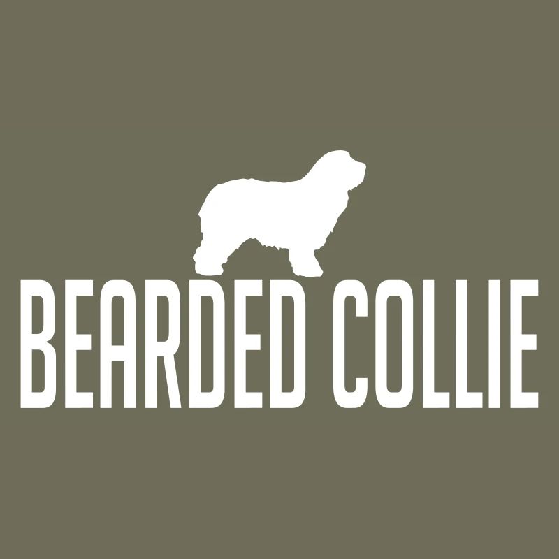 BEARDED COLLIE Hunderasse