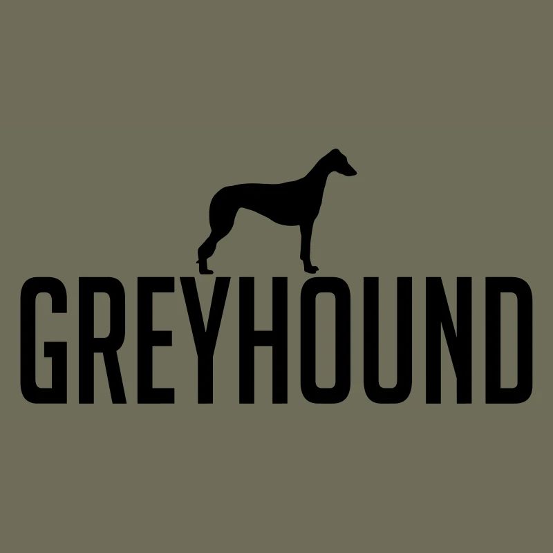 GREYHOUND dog
