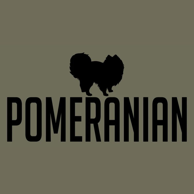 POMERANIAN Hunderasse