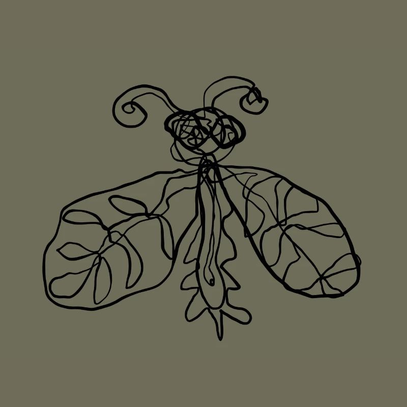 Insect