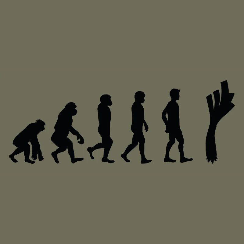 Lauch Evolution
