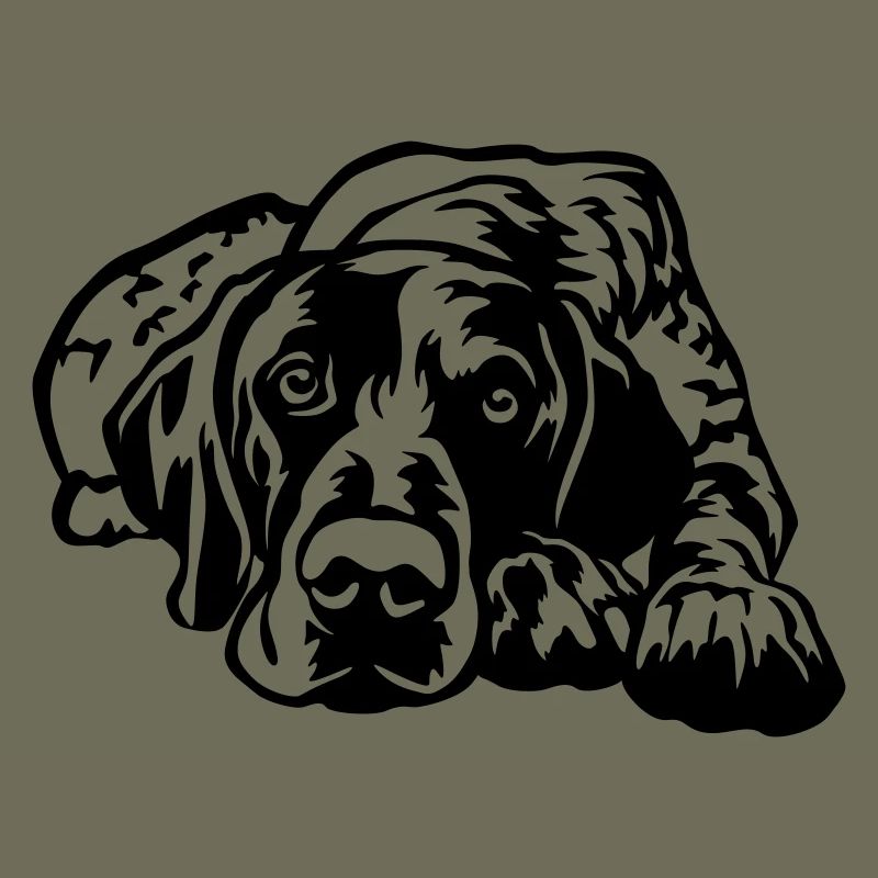 German Shorthaired Pointer