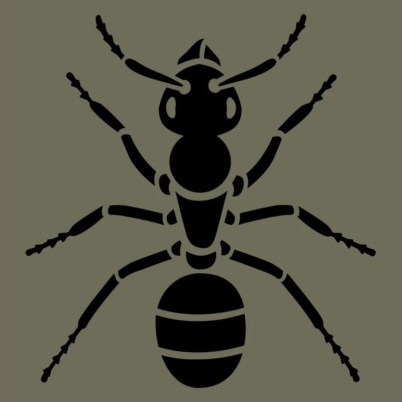 Insectes - Ant