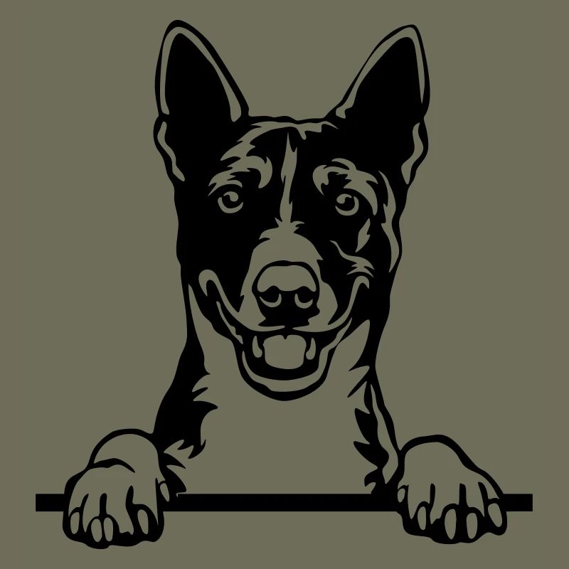 Basenji Kopf