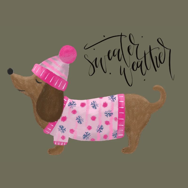 Teckel avec pull et chapeau Pull Météo rose
