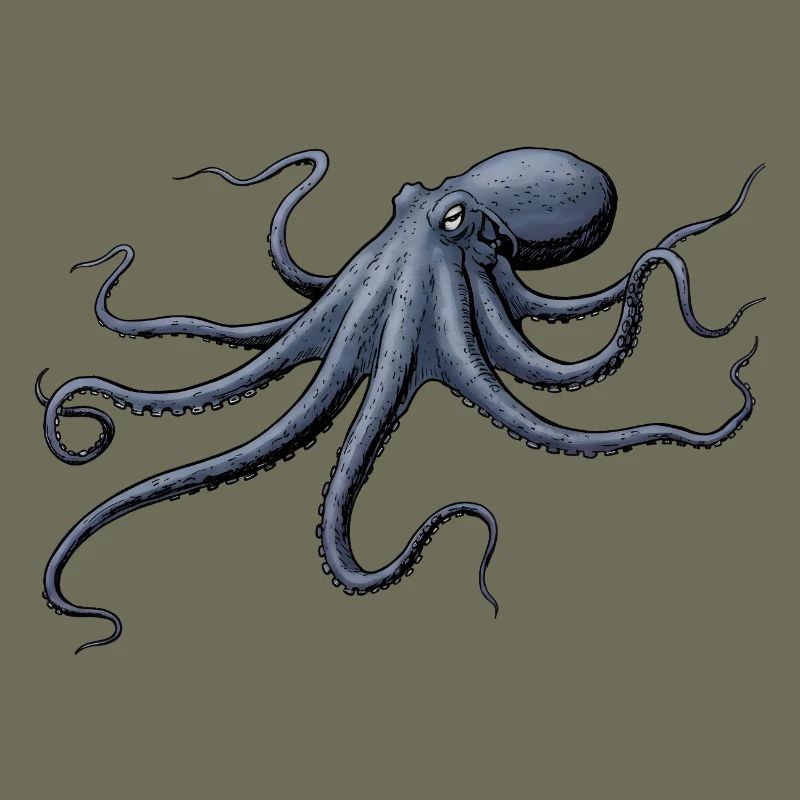 Midnight Blue Octopus Octopus