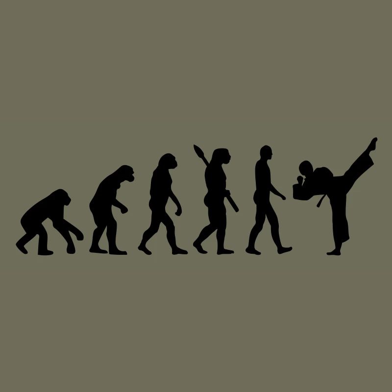 Evolution Karate