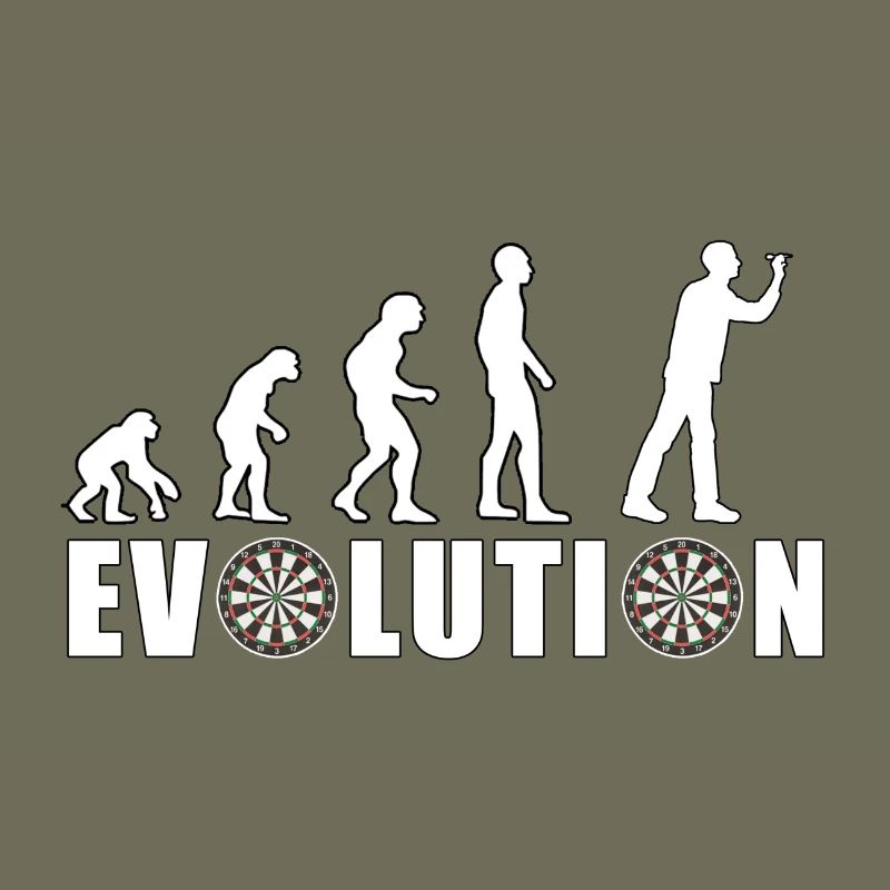 EVOLUTION DARTS Game Arrow Dartboard Gift