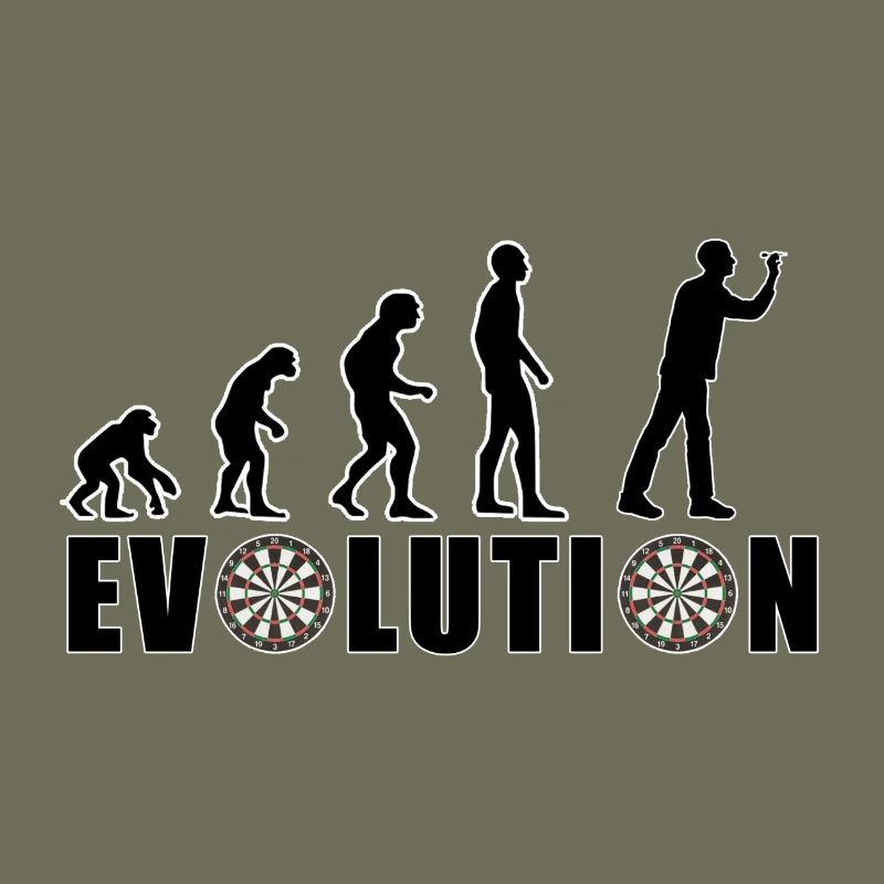 EVOLUTION DARTS Game Arrow Dartboard Gift