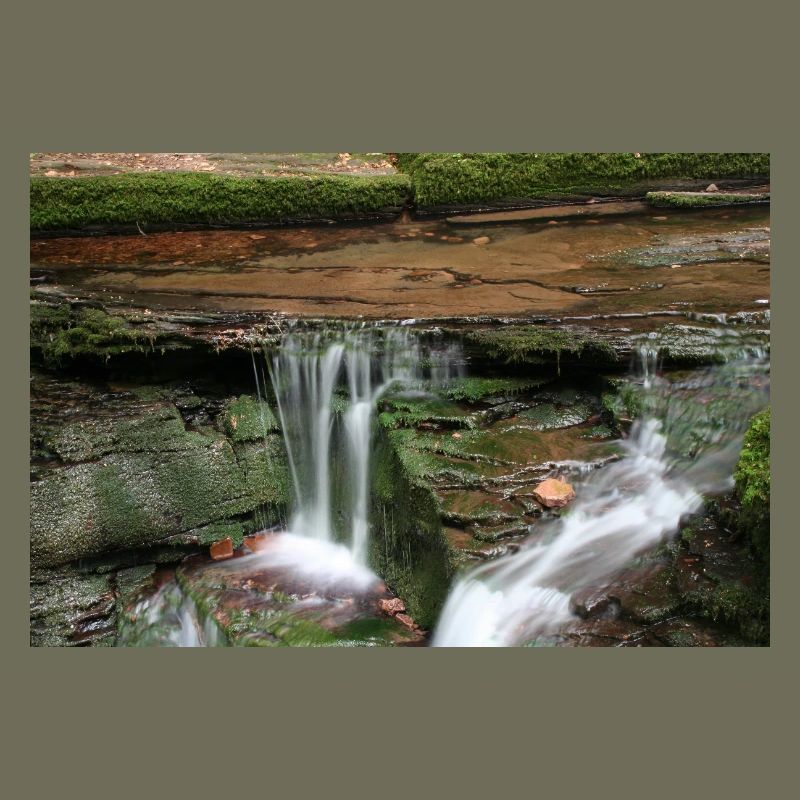 MONBACH IM NORDSCHWARZWALD