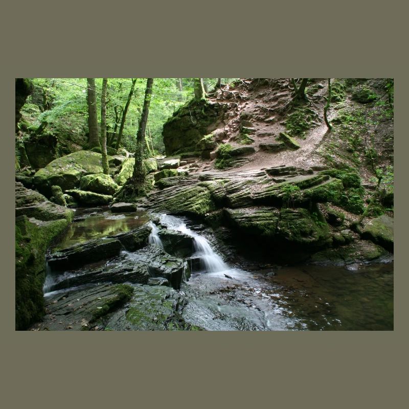 MONBACH IM NORDSCHWARZWALD